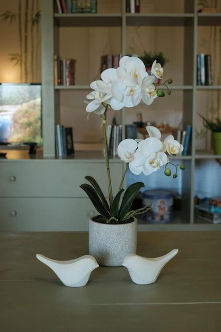 Apartment With Garden In Thessaloniki. Bagian luar foto
